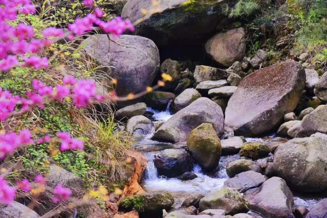 中国·1277星际电子游戏(股份有限公司)-Official website